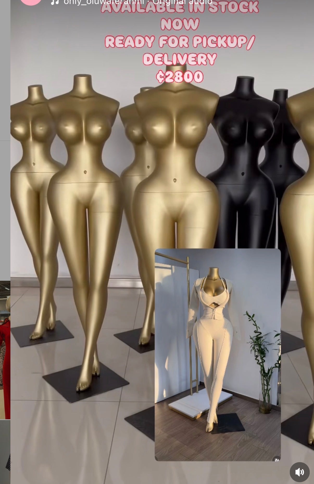 Gold Hourglass BBL Mannequin